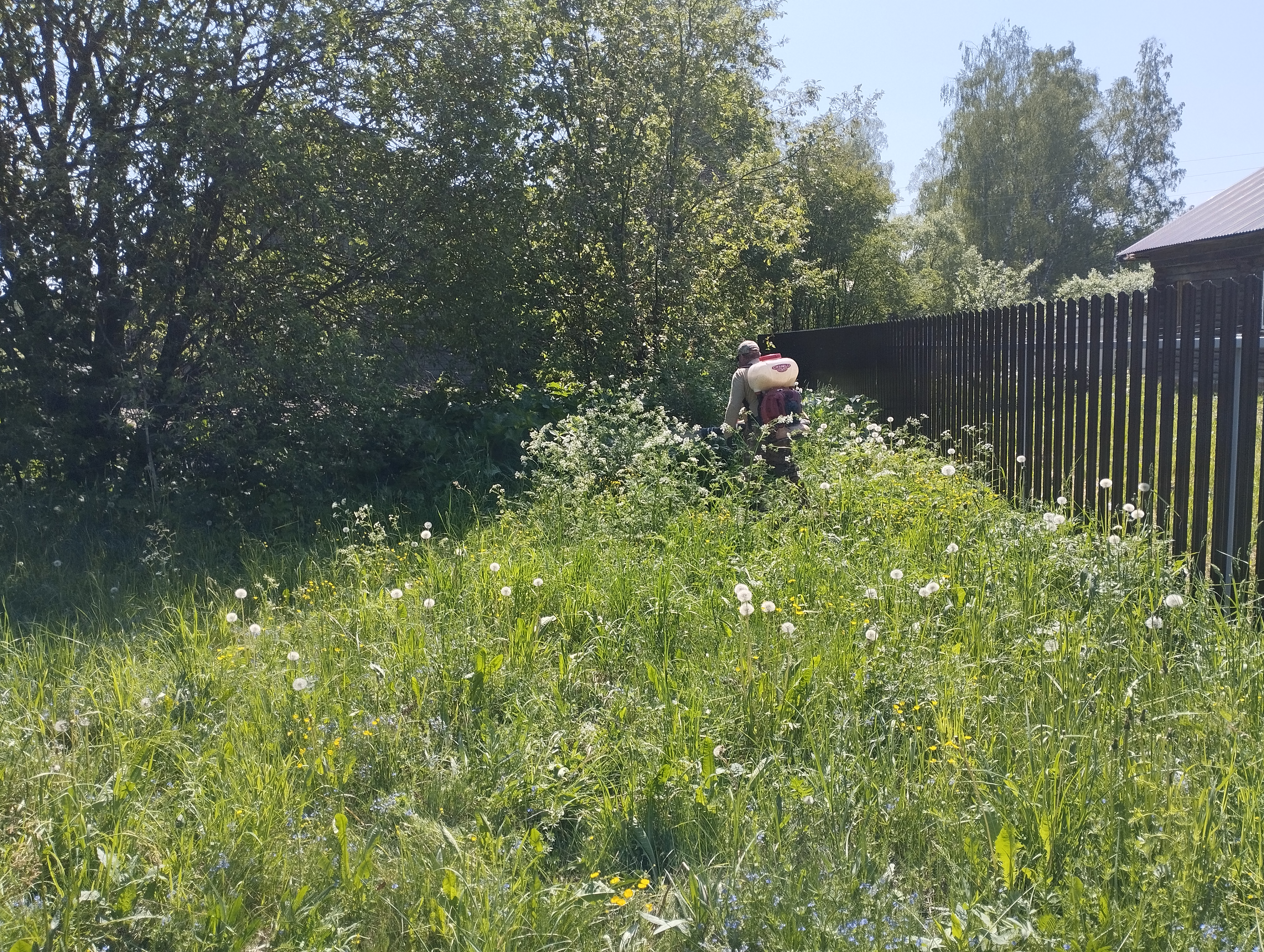 В районе проведены работы  по борьбе с борщевиком Сосновского.