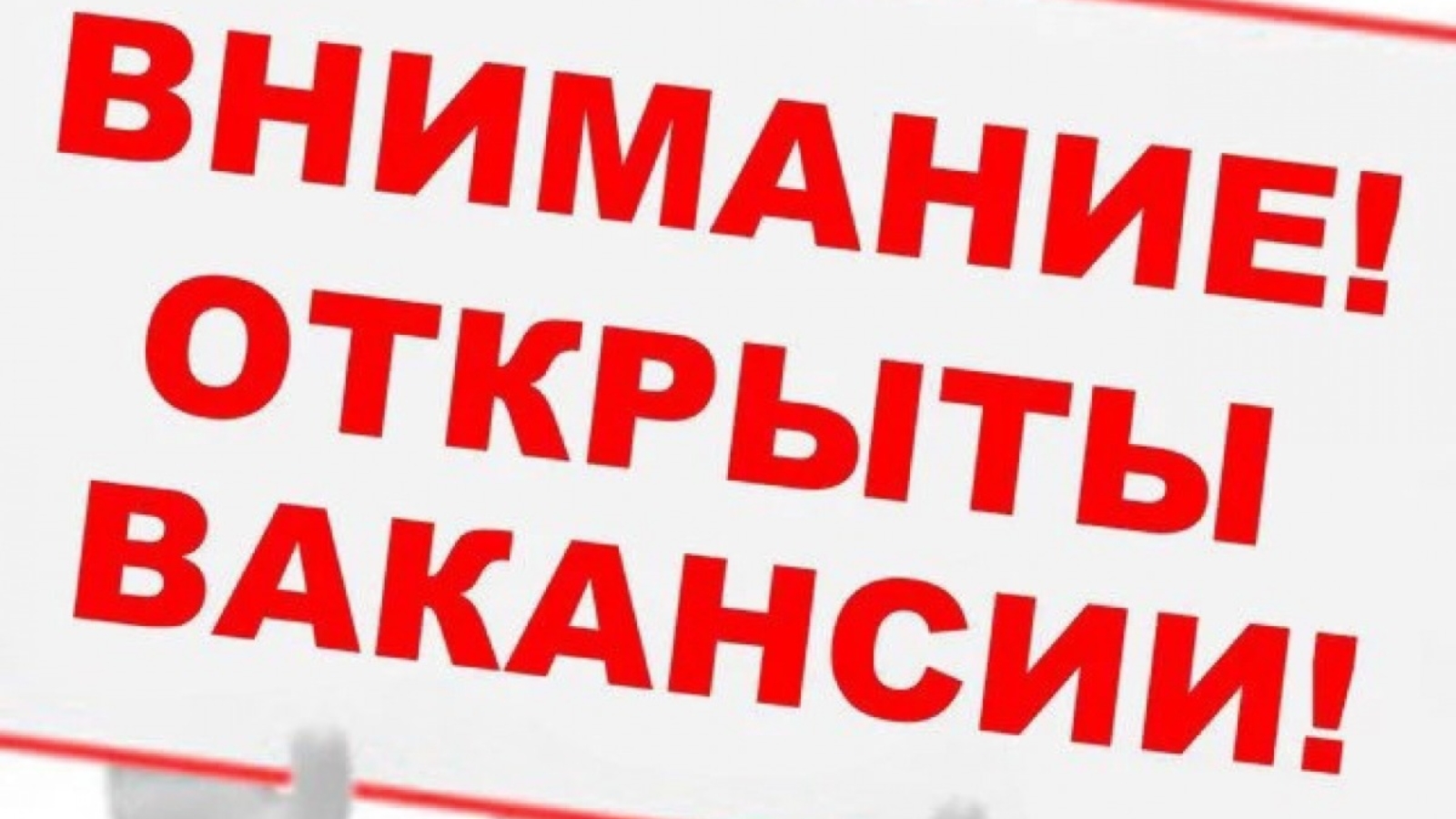 Вакансии в Лухском муниципальном районе от 22 января 2024 года.