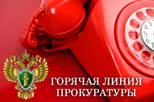 Горячая линия прокуратуры.