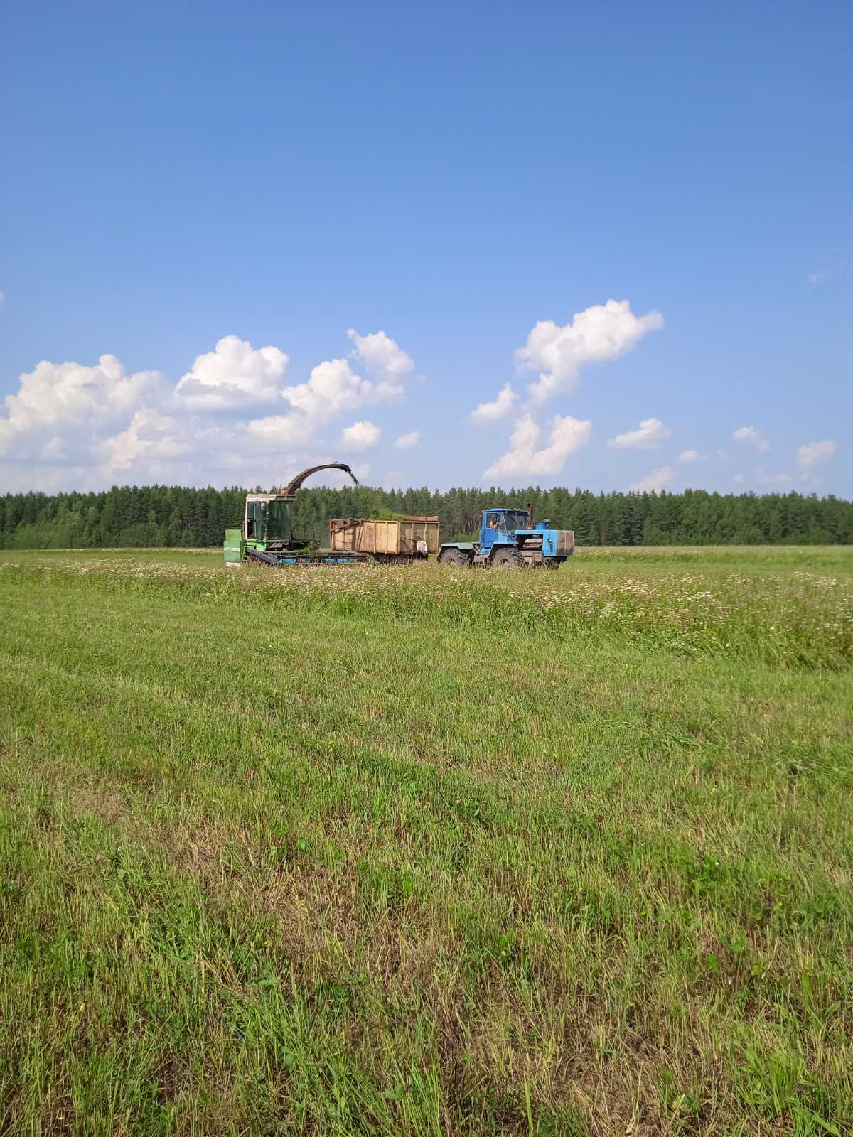 В  Лухском районе идет кормозаготовка.