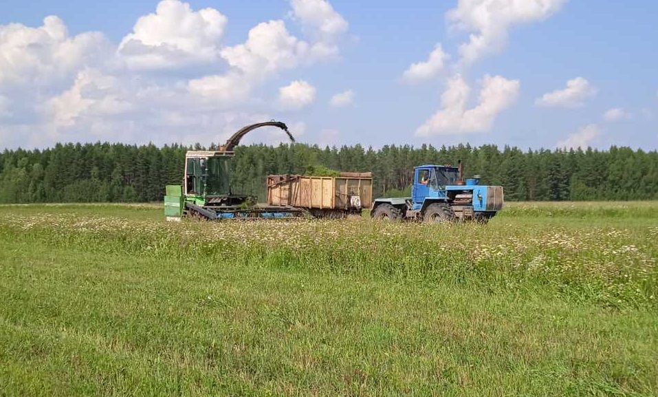 В районе продолжается  кормозаготовка.