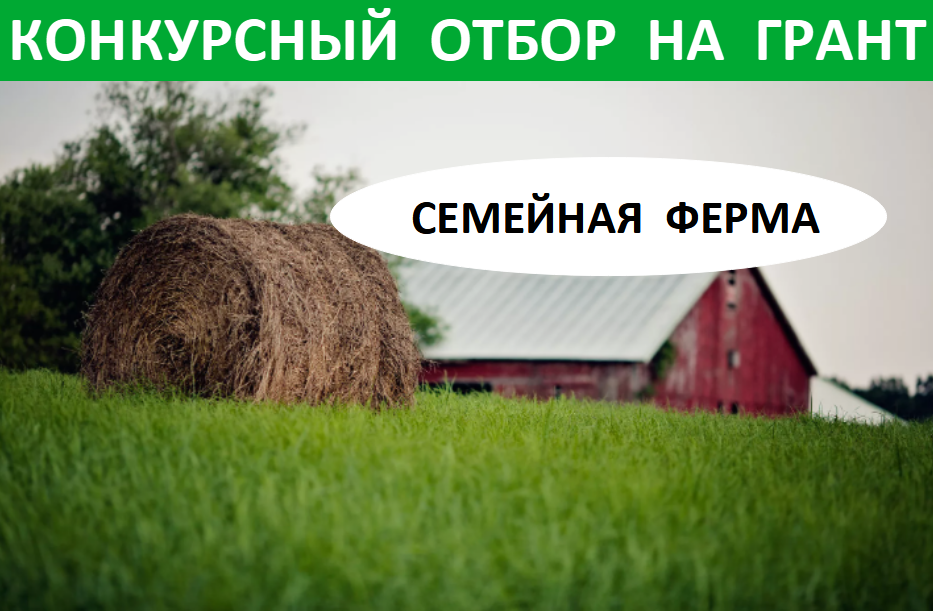 Проводится приём документов на участие в конкурсном отборе на получение грантов для развития семейных ферм.