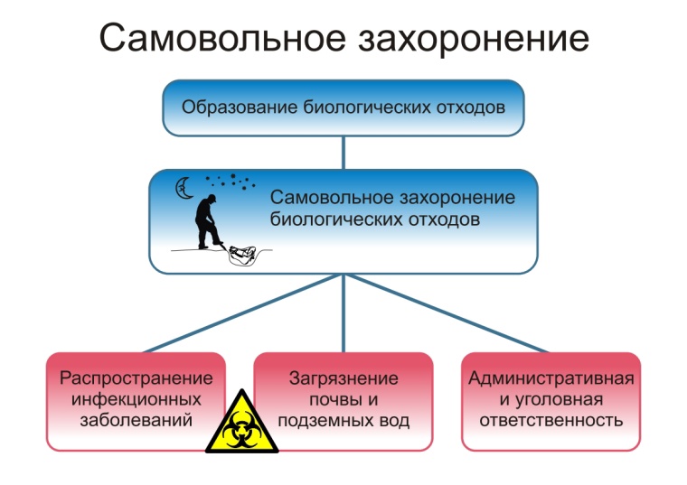 П А М Я Т К А О неотложных действиях при заболевании и/или падеже животных, и правилах безопасного обращения с биологическими отходами.